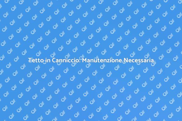Manutenzione Essenziale per Tetti in Canniccio
