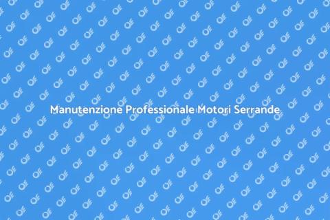 Assistenza Motori Serrande Professionale