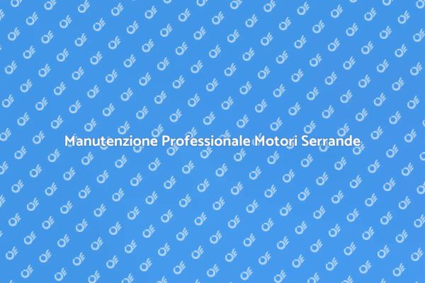 Perché Scegliere Professionisti Serrande