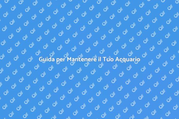 Mantenere un Acquario Sano e Felice
