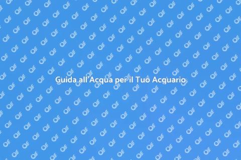 L'Acqua Fondamentale per l'Acquario