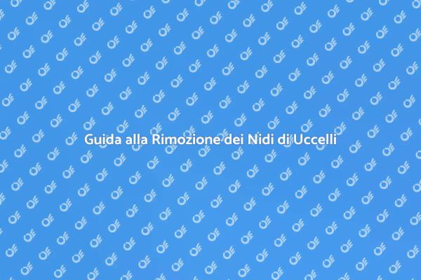 Rimuovere Nidi di Uccelli: Ecco Come Fare