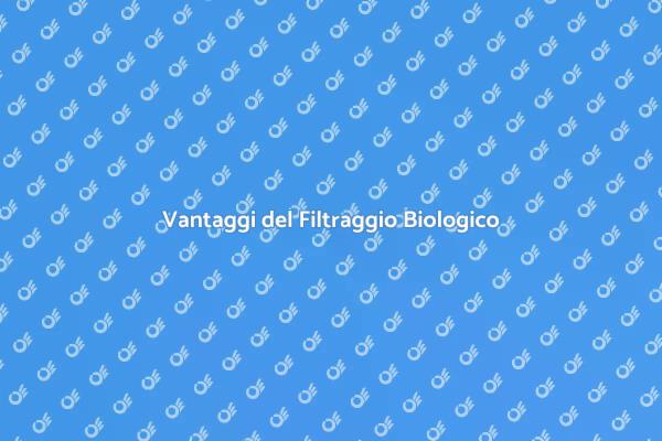 Guida al Filtraggio Biologico