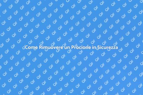 Rimozione Sicura di un Procione