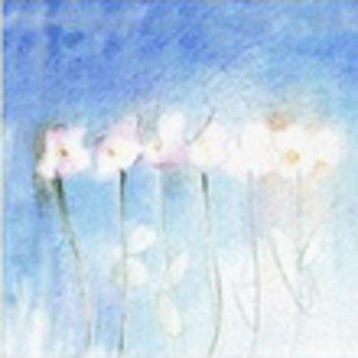 Polline Fioreria  - Foto 1
