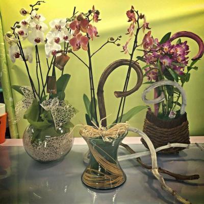 Dillo con un fiore srl - Foto 5