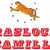 Traslochi Camilli 