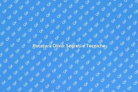 Potatura Olivo: Arte e Competenza