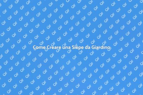 Creazione Siepe da Giardino Perfetta