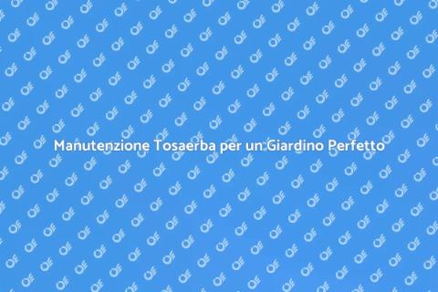 Riparazione Tosaerba per Giardini Curati