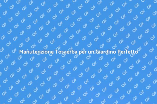 Riparazione Efficiente per Tosaerba