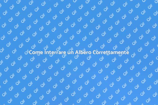 Interramento Albero: I Passi Fondamentali
