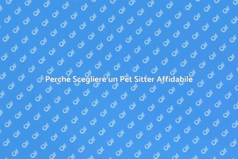 Pet Sitter Professionista: La Scelta Giusta
