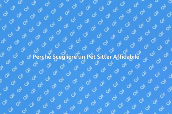 Pet Sitter: La Chiave per la Serenità
