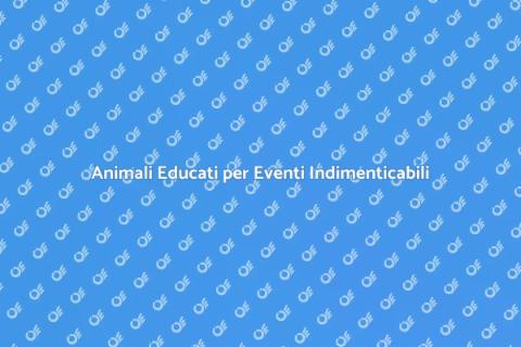 Educare Animali per Eventi Speciali