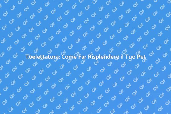 Ritocco Pelo: Segreti di Toelettatura