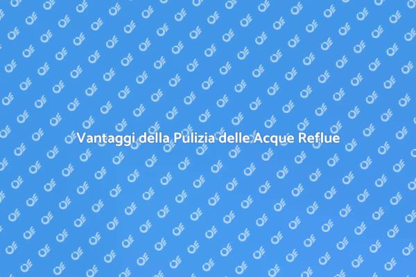 Importanza della Pulizia delle Acque Reflue