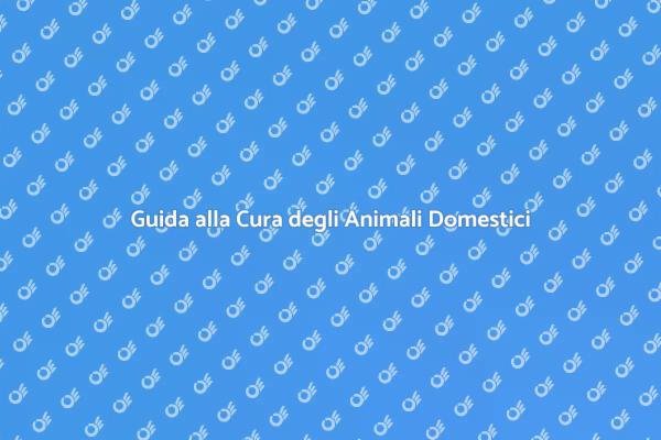 La Responsabilità di Avere un Animale