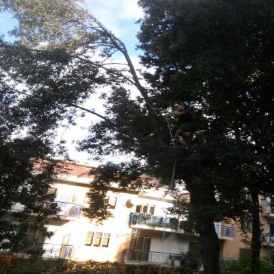 Nuova Pulizia Brillante  - Foto 4