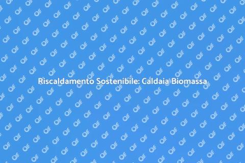 Caldaia a Biomassa: Vantaggi e Innovazione