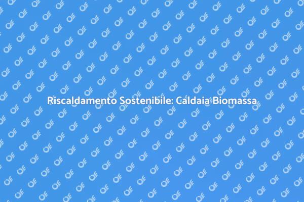 Innovazione nel Riscaldamento: Biomassa