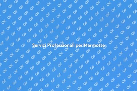 Rimozione Marmotte: Servizi Efficaci