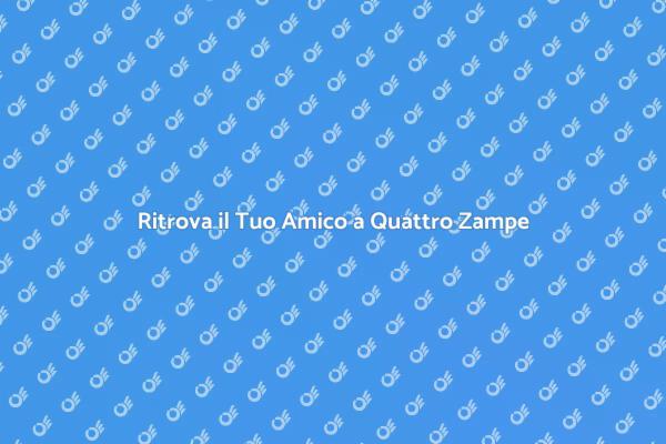 Pet Detective: La Soluzione per Ritrovare Fido
