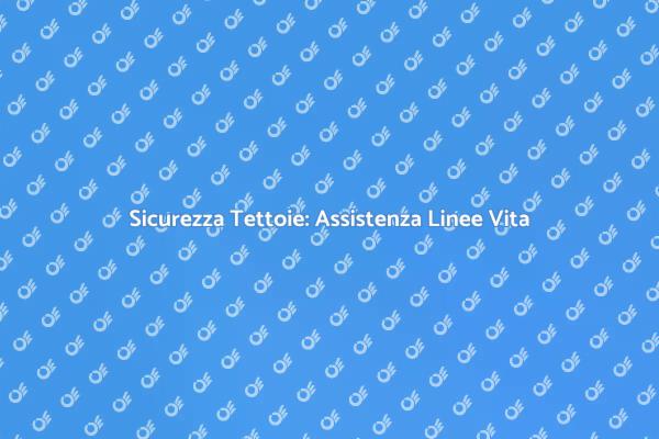 Linee Vita: Sicurezza per Tettoie