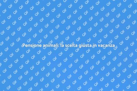 Pensione per animali: vacanza serena