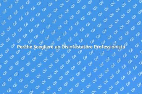 Assumere un Disinfestatore: Ecco Perché