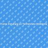 Termostato Ambiente: Installazione Facile