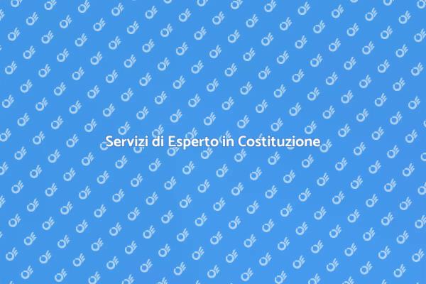 Guida agli Esperti in Costituzione