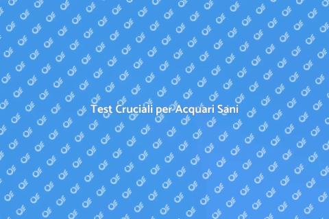 Test di Equilibrio per Acquario