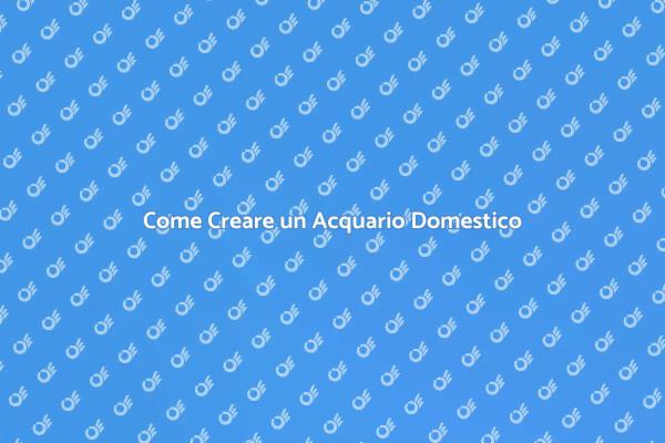 Creare un Ambiente Acquatico Perfetto