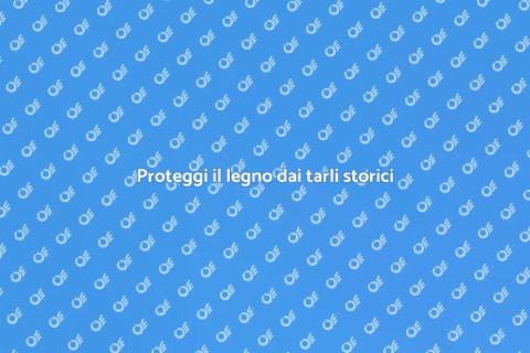 Prevenire infestazione tarli storici