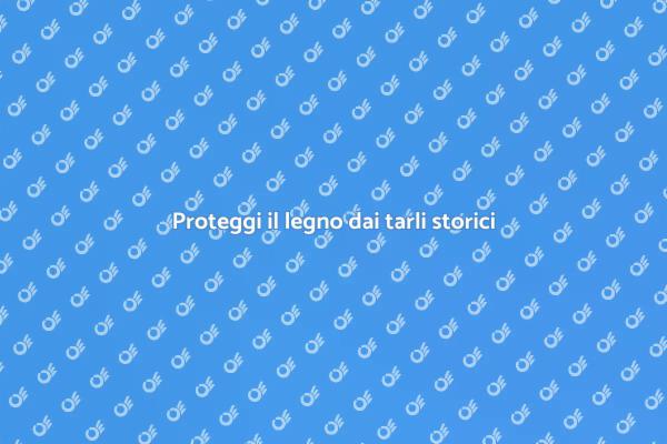 Difesa dai tarli per edifici storici