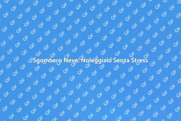 Noleggia Sgombero Neve e Rilassati