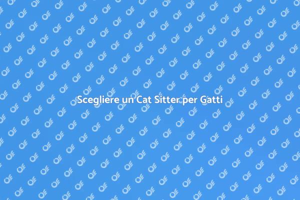 Cat Sitter: Cura e Istinto per Gatti