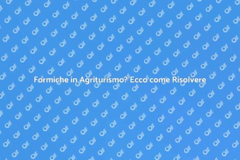 Disinfestazione Formiche Agriturismo