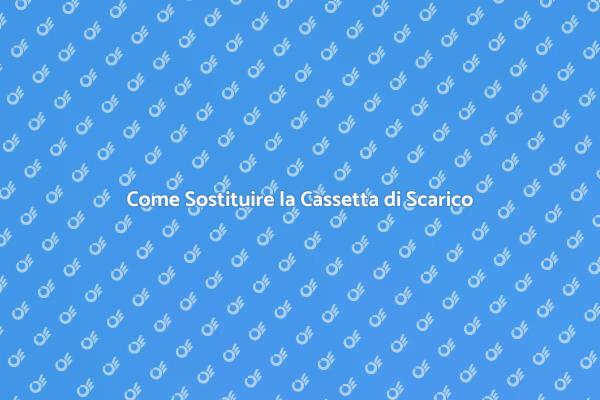 Sostituzione Cassetta Scarico: Ecco Come
