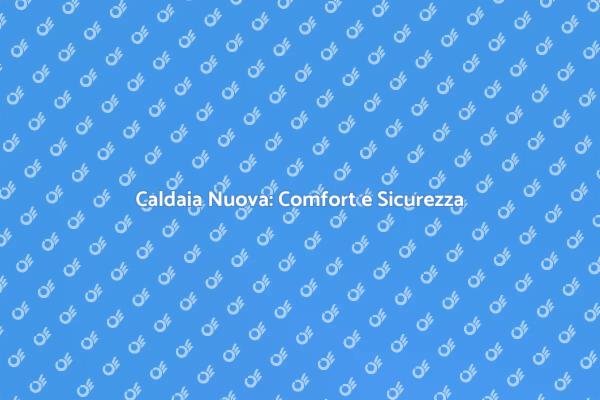 Caldaia Nuova per Maggiore Efficienza