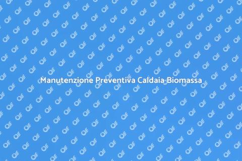 Manutenzione Caldaia a Biomassa