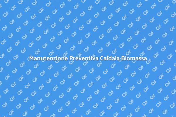 Caldaia a Biomassa: Manutenzione Necessaria