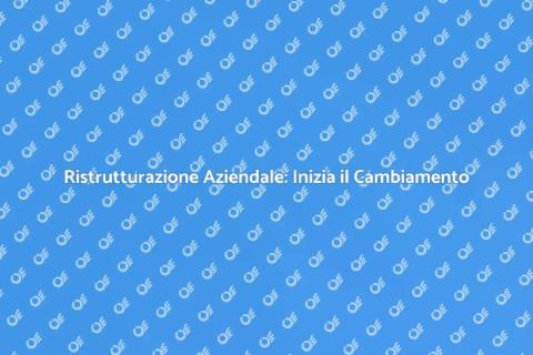 Consulenza per Ristrutturazione Aziendale