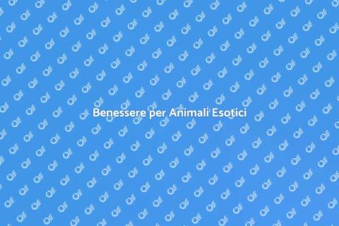 Massaggi per Animali Esotici