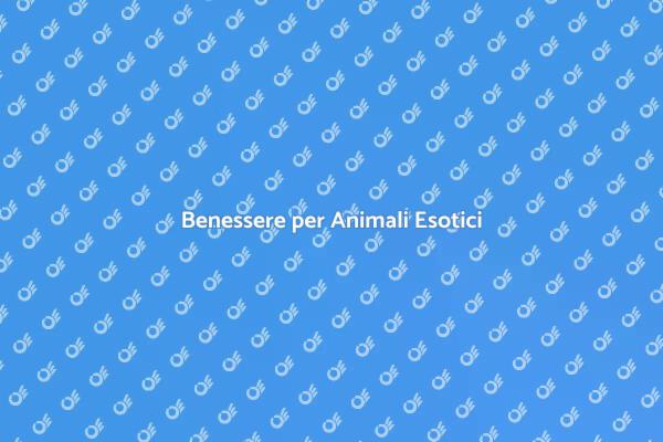 Scopri i Massaggi per Animali Esotici