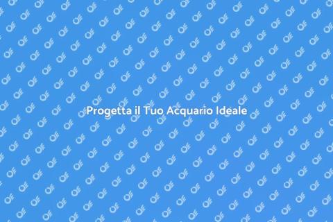 Acquario su Misura: La Tua Creazione