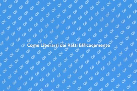 Disinfestare Ratti: Guida Completa