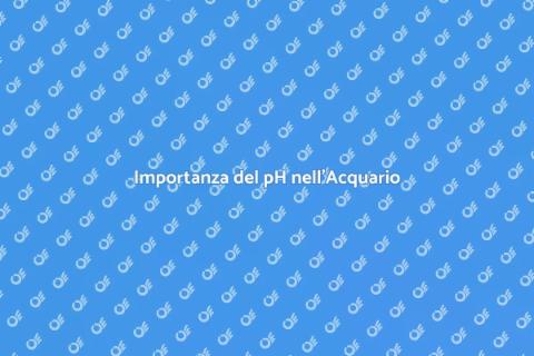 Testare il pH dell'Acqua dell'Acquario