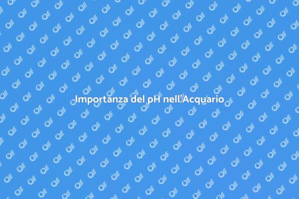 Mantenere il pH Giusto per i Pesci